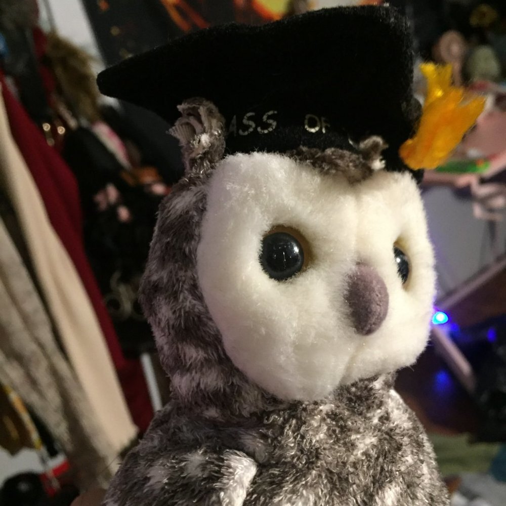 Graduating Owl Plush - Picture 5 of 14